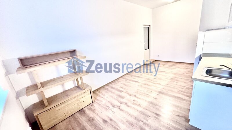 1+1/40m2/společný balkon/ Praha1/Staré Město/U milosrdných/částečně zařízen