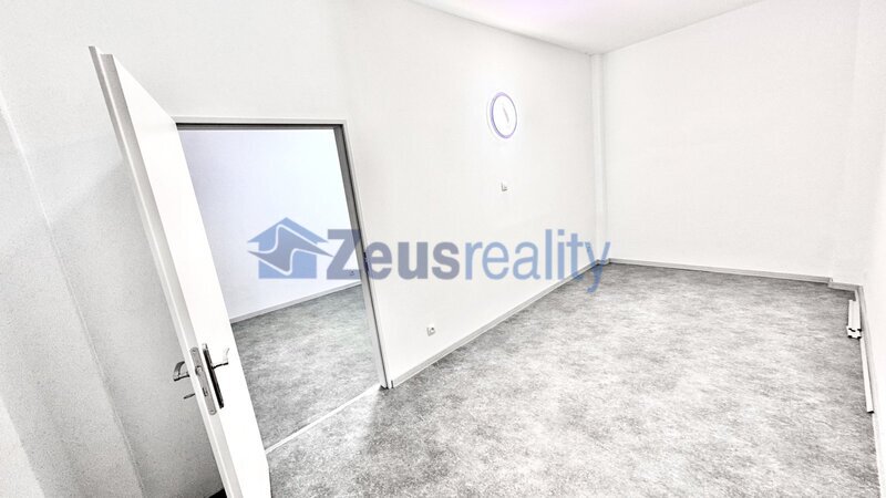 Kanceláře/3 místnosti/hala/55m2/po rekonstrukci/Praha 1/Jeruzalémská/Nové Město