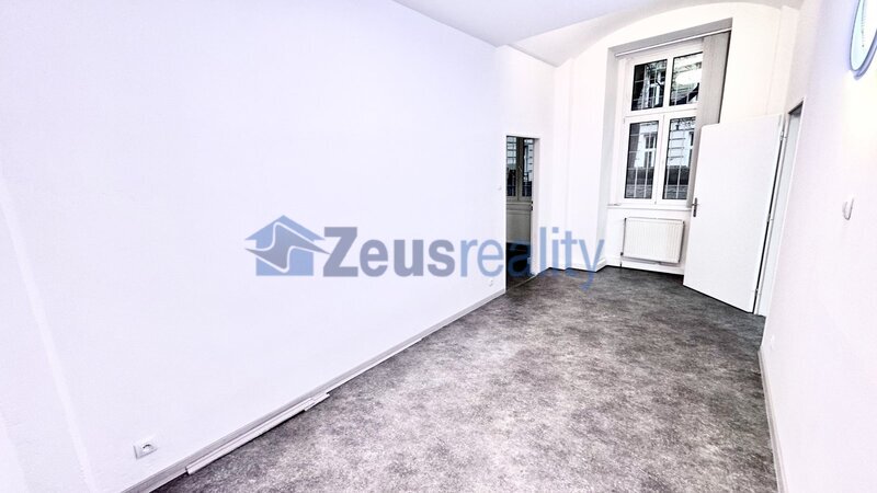 Kanceláře/3 místnosti/hala/55m2/po rekonstrukci/Praha 1/Jeruzalémská/Nové Město
