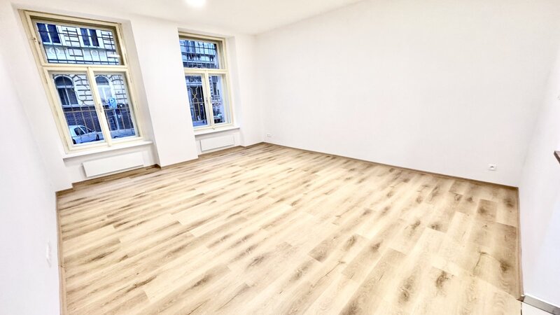 1+KK/42m2/Praha 2/Nové Město/Tyršova/částečně zařízen/u metra