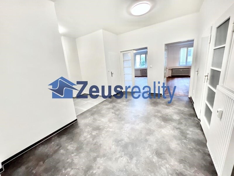 3+1/2xkomora + 100m2 terasa 40m2/Vinohradská/Praha 3/Vinohrady/částečně zařízen/po rekonstrukci