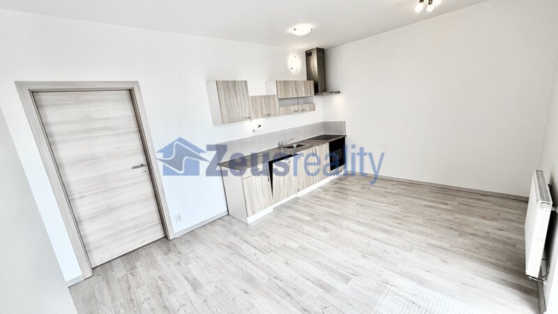 1+1/46m2/balkon/sklep/garážové stání/Říčany/Na výšině/částěčně vybaven/novostavba