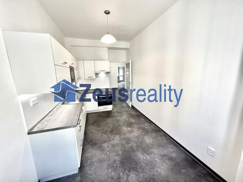 3+1/2xkomora + 100m2 terasa 40m2/Vinohradská/Praha 3/Vinohrady/částečně zařízen/po rekonstrukci