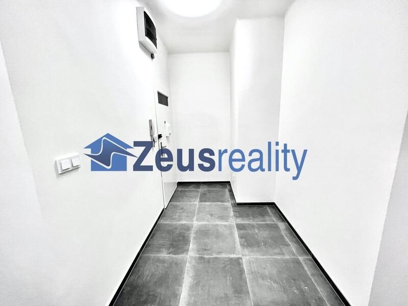 3+1/2xkomora + 100m2 terasa 40m2/Vinohradská/Praha 3/Vinohrady/částečně zařízen/po rekonstrukci