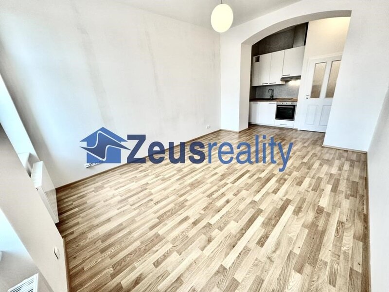 1+kk/32m2/Nové Město/Na slupi/Praha 2