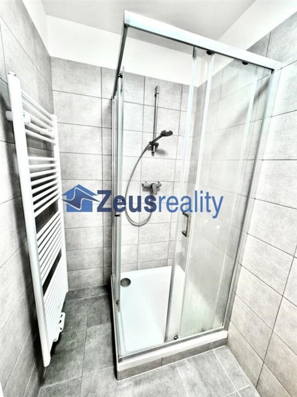 1+kk/32m2/Nové Město/Na slupi/Praha 2