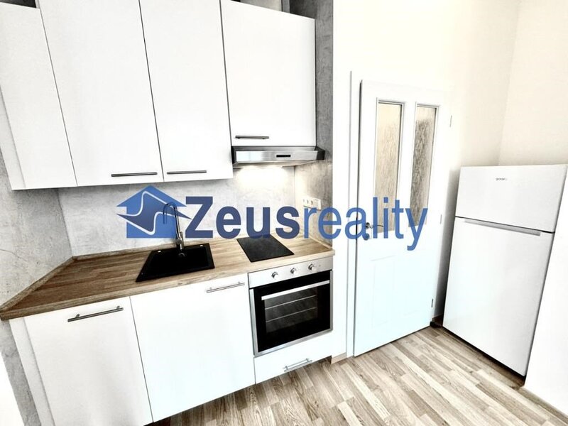 1+kk/32m2/Nové Město/Na slupi/Praha 2
