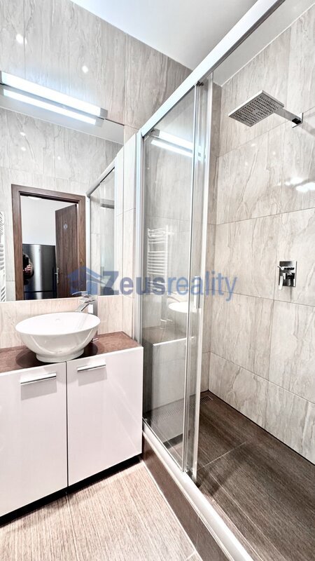 1+1/49m2/Žižkov/Bořivojova/Praha 3/zařizen