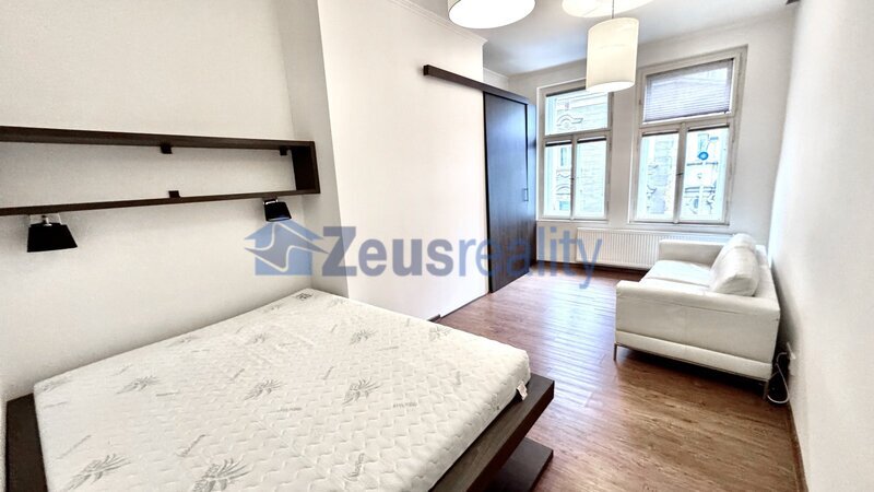 1+1/49m2/Žižkov/Bořivojova/Praha 3/zařizen