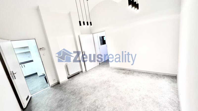 Kanceláře/3 místnosti/hala/55m2/po rekonstrukci/Praha 1/Jeruzalémská/Nové Město