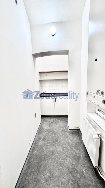 Kanceláře/3 místnosti/hala/55m2/po rekonstrukci/Praha 1/Jeruzalémská/Nové Město