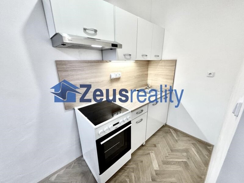 2+KK/50m2/Praha1/Staré Město/U milosrdných/částečně zařízen/po rekonstrukci