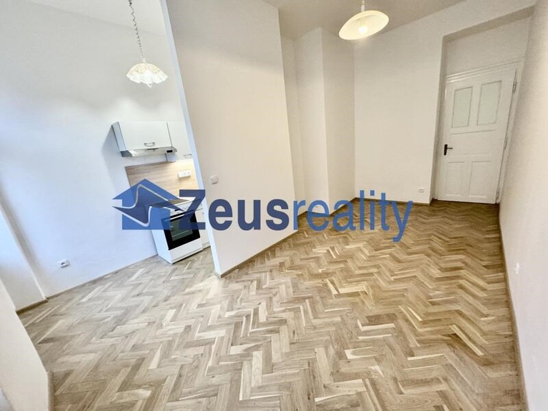 2+KK/50m2/Praha1/Staré Město/U milosrdných/částečně zařízen/po rekonstrukci