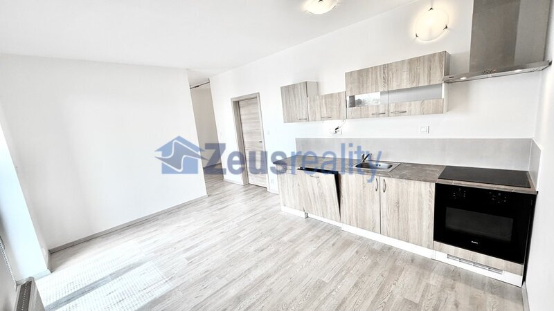 1+KK/46m2/balkon/sklep/garážové stání/Říčany/Na výšině/částěčně vybaven/novostavba