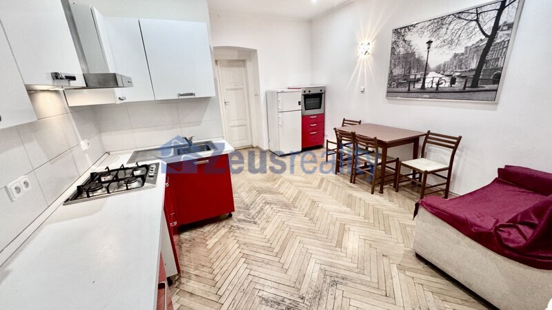 1+1/41m2/Plzeňská/Smíchov/Praha 5/zařízen/blízko METRA stanice Anděl/po rekonstrukci/