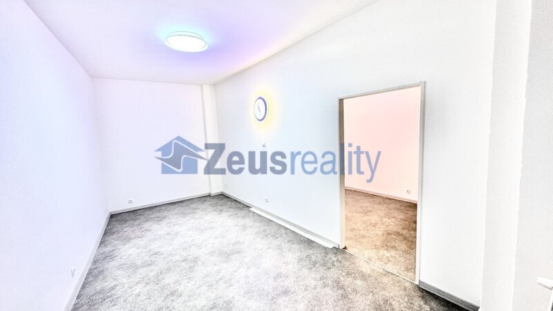 Kanceláře/3 místnosti/hala/55m2/po rekonstrukci/Praha 1/Jeruzalémská/Nové Město