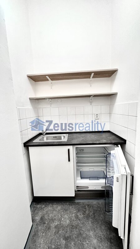 Kanceláře/3 místnosti/hala/55m2/po rekonstrukci/Praha 1/Jeruzalémská/Nové Město