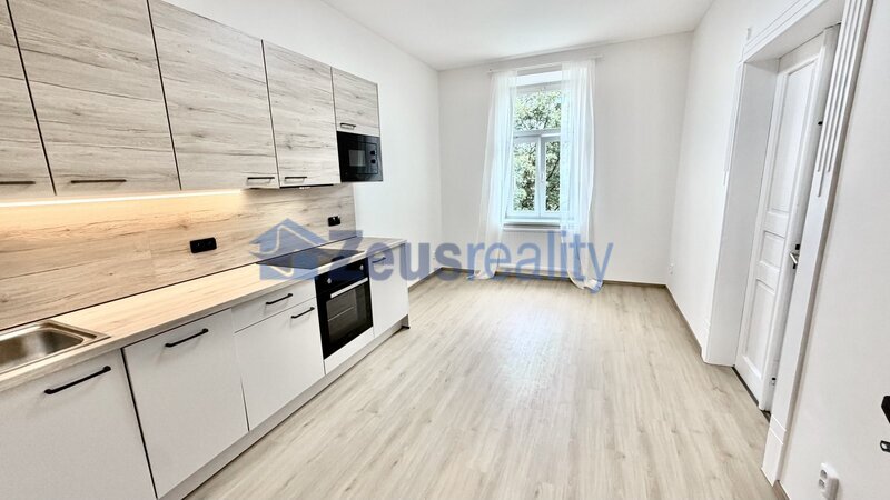 1+1/42m2/balkon společný,zahrada/Praha 9 /Vysočany /Českomoravská/po rekonstrukci/částečně zařízen