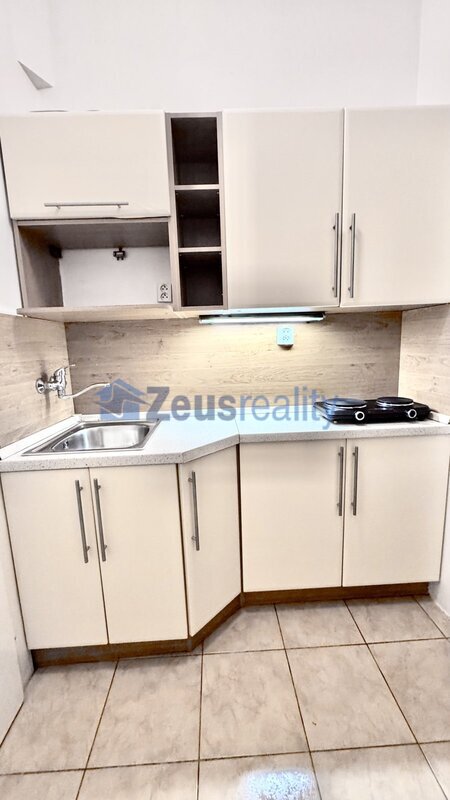 1+kk/27m2/Praha 8,Ronkova/Libeň/částečně zařízen