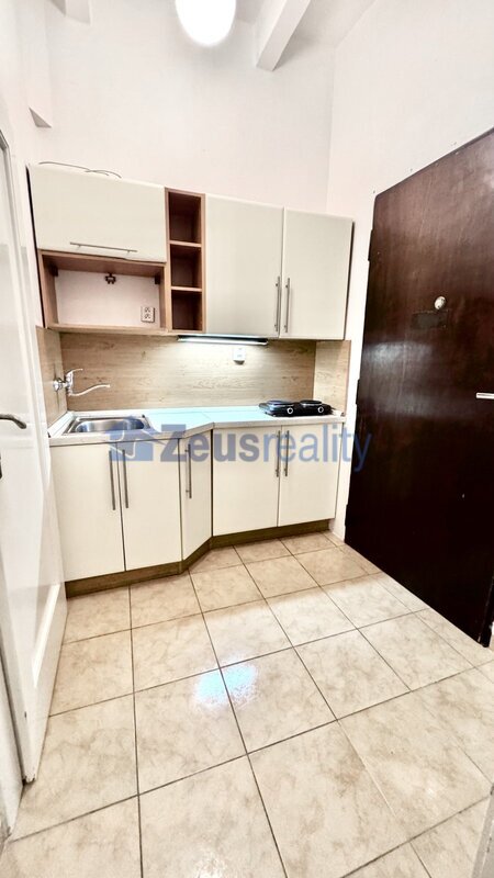 1+kk/27m2/Praha 8,Ronkova/Libeň/částečně zařízen