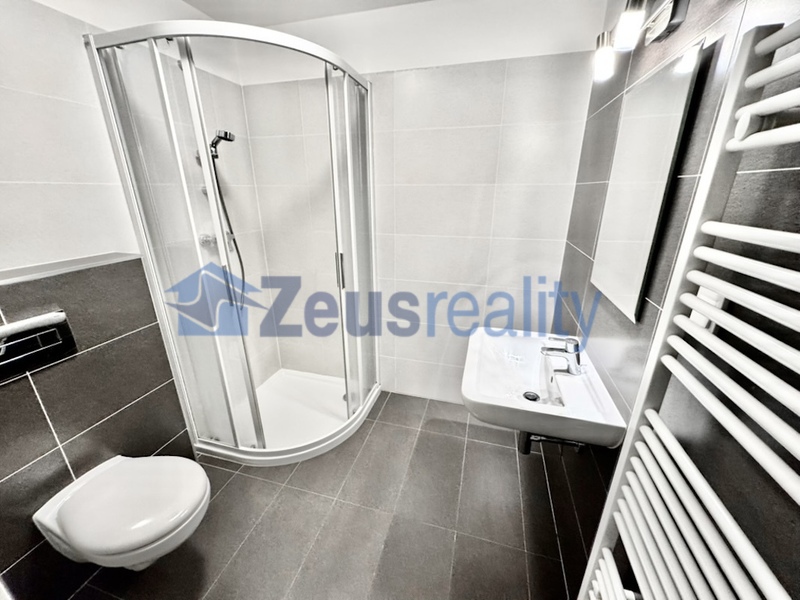 1+1/39m2/balkon/sklep/garážové stání/Říčany/Na výšině/částěčně vybaven/novostavba