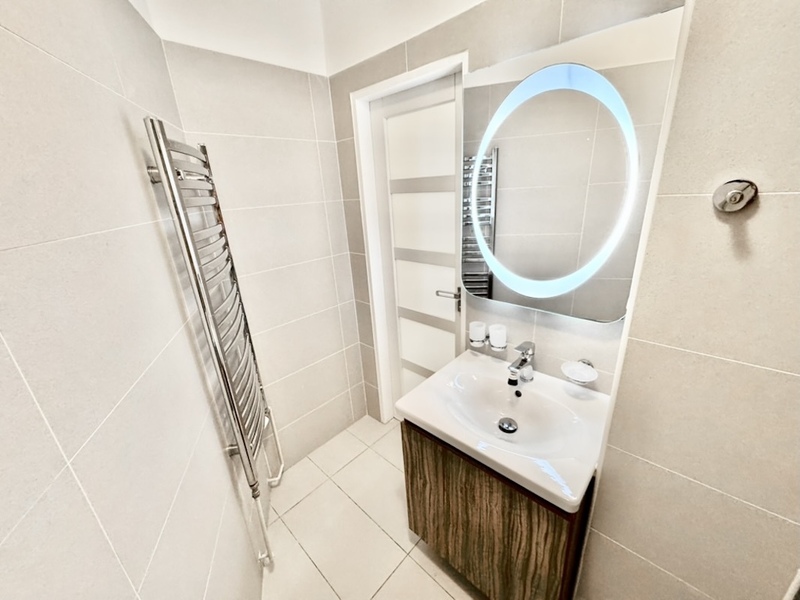 3místnosti/50m2/Praha 3/ Žižkov/Bořivojova/částečně zařízen