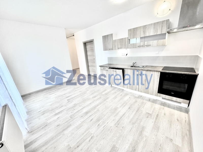1+1/39m2/balkon/sklep/garážové stání/Říčany/Na výšině/částěčně vybaven/novostavba