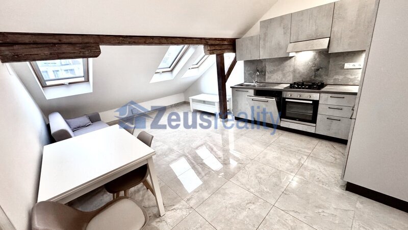 1+1/56m2/společný balkon/Plzeňská/Praha 5/Smíchov/zařízen komplet