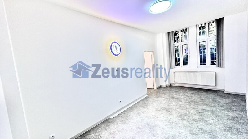 Kanceláře/3 místnosti/hala/55m2/po rekonstrukci/Praha 1/Jeruzalémská/Nové Město