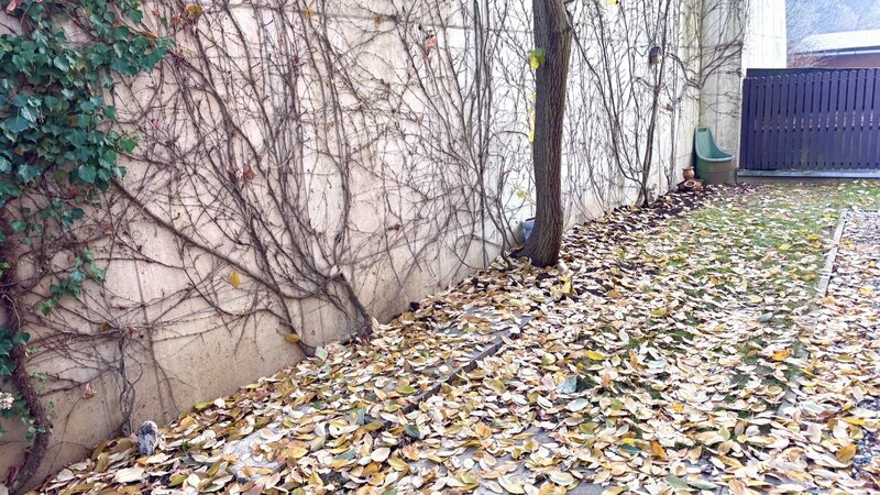 2+1/84m2/terasa s předzahrádkou 45m2/parkovací stání/Praha 5/Smíchov/Na Popelce/částečně zařízen/nov