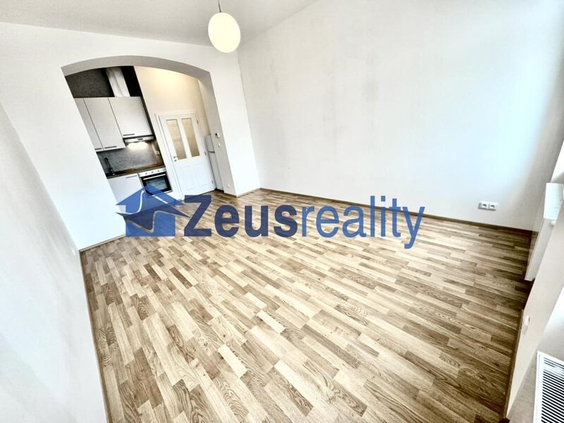 1+kk/32m2/Nové Město/Na slupi/Praha 2