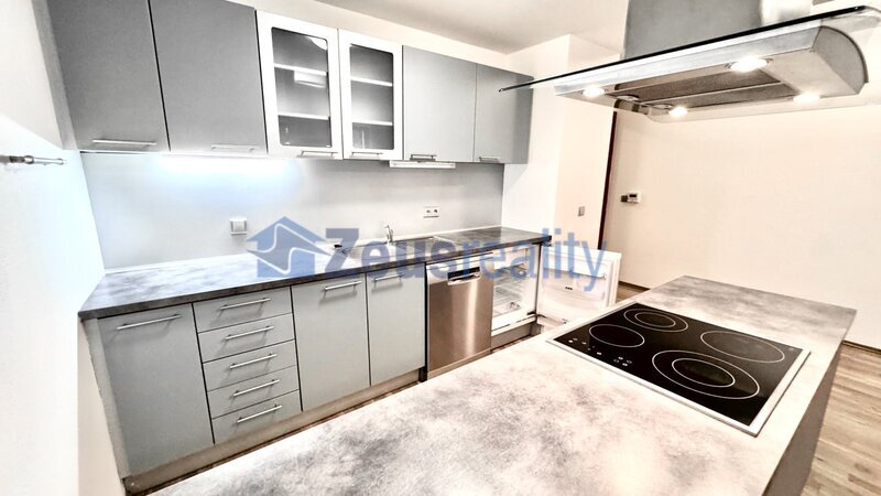 3+KK/84m2/terasa s předzahrádkou 45m2/parkovací stání/Praha 5/Smíchov/Na Popelce/částečně zařízen/