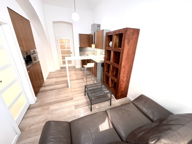 2+1/50m2/Praha 3/ Žižkov/Bořivojova/kompletně zařízen/