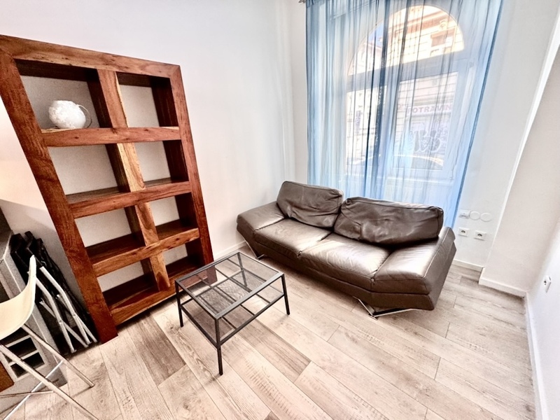 2+1/50m2/Praha 3/ Žižkov/Bořivojova/kompletně zařízen/