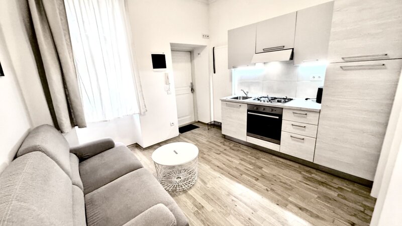 2+KK/31m2/terasa/Praha 2/Nové Město/Vyšehradská/po rekonstrukci/zařízen komplet