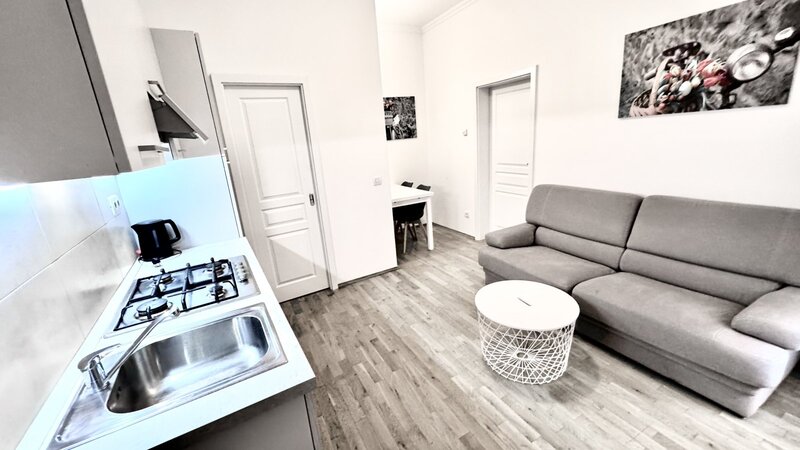 2+KK/31m2/terasa/Praha 2/Nové Město/Vyšehradská/po rekonstrukci/zařízen komplet