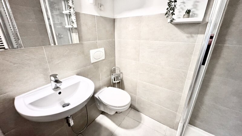 2+KK/31m2/terasa/Praha 2/Nové Město/Vyšehradská/po rekonstrukci/zařízen komplet