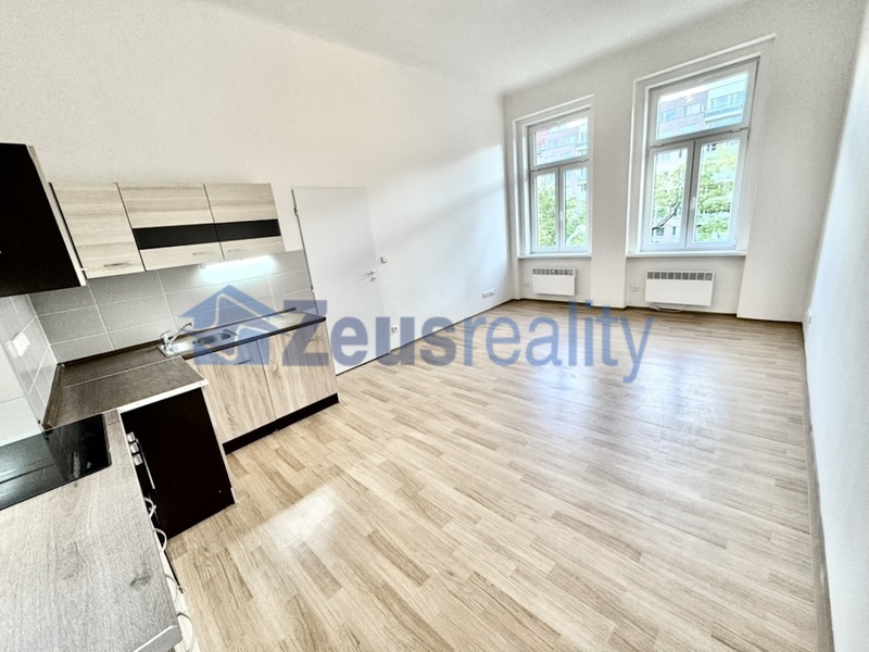 2+KK/35m2/Tusarova/Praha 7/Holešovice/po rekonstrukci/částečně zařízen