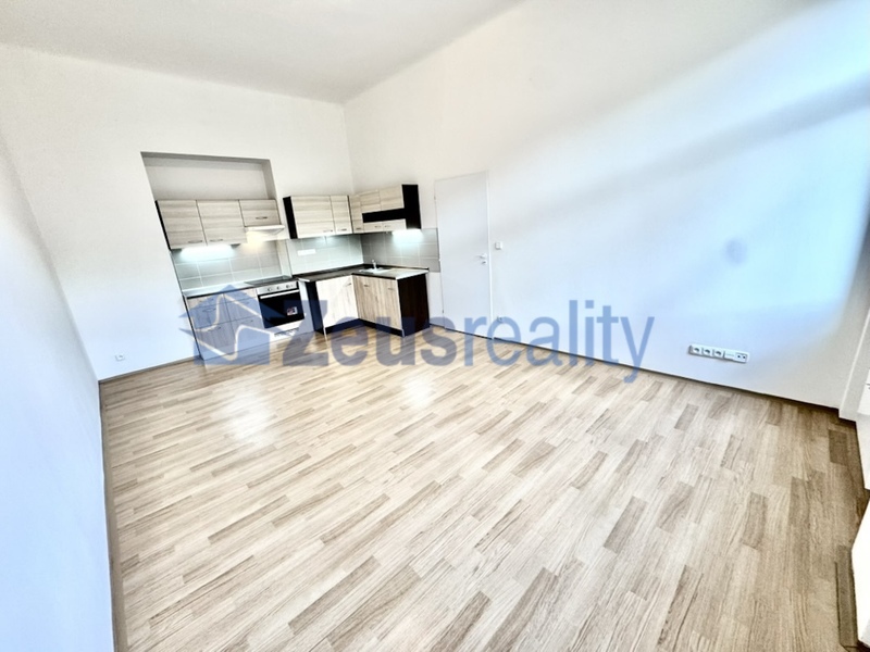 2+KK/35m2/Tusarova/Praha 7/Holešovice/po rekonstrukci/částečně zařízen