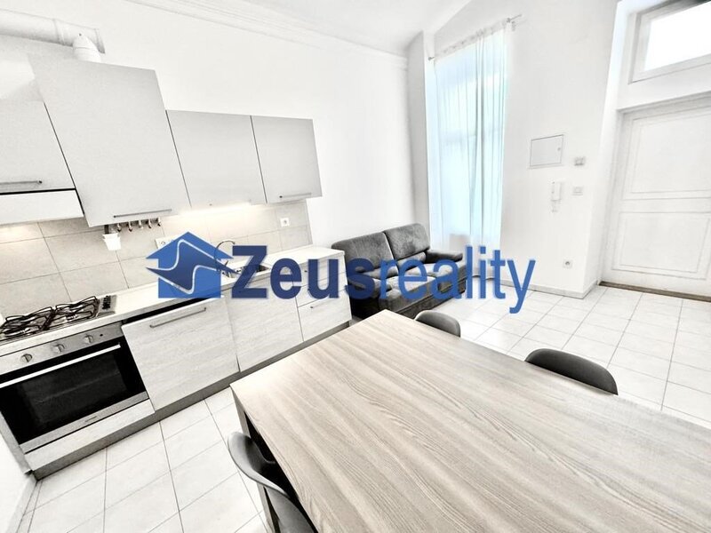 1+1/33m2/Vyšehradská /Praha 2/Nové Město/zařízen