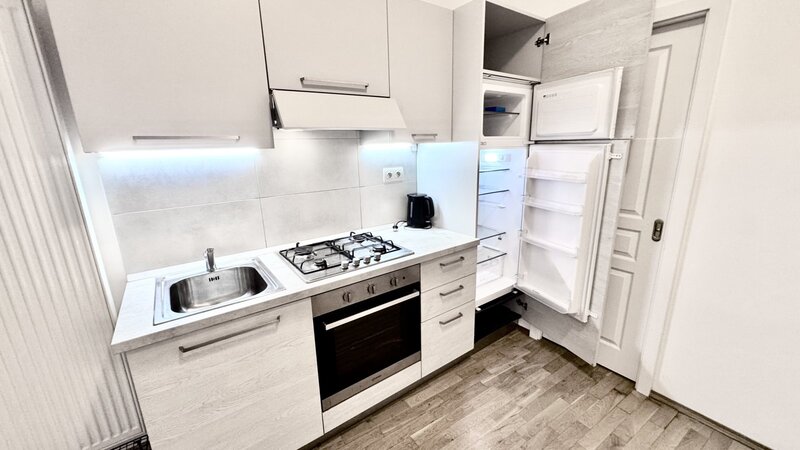 1+1/31m2/terasa/Praha 2/Nové Město/Vyšehradská/po rekonstrukci/zařízen komplet