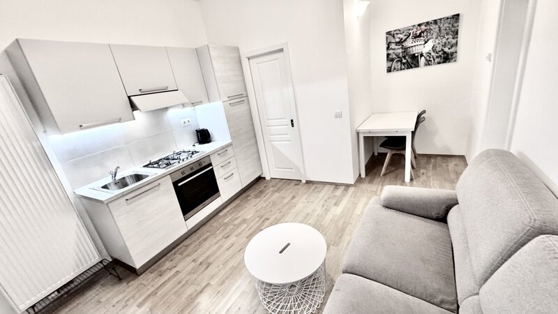 1+1/31m2/terasa/Praha 2/Nové Město/Vyšehradská/po rekonstrukci/zařízen komplet