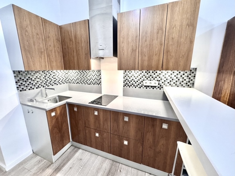 2+1/50m2/Praha 3/ Žižkov/Bořivojova/kompletně zařízen/