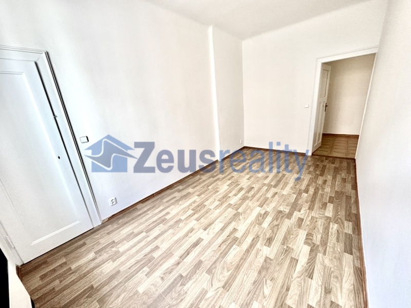 1+1/40m2/komora/Praha 3/Žižkov/Žerotínova/částečně vybaven/po rekonstrukci