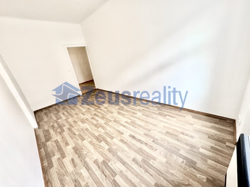 1+1/40m2/komora/Praha 3/Žižkov/Žerotínova/částečně vybaven/po rekonstrukci