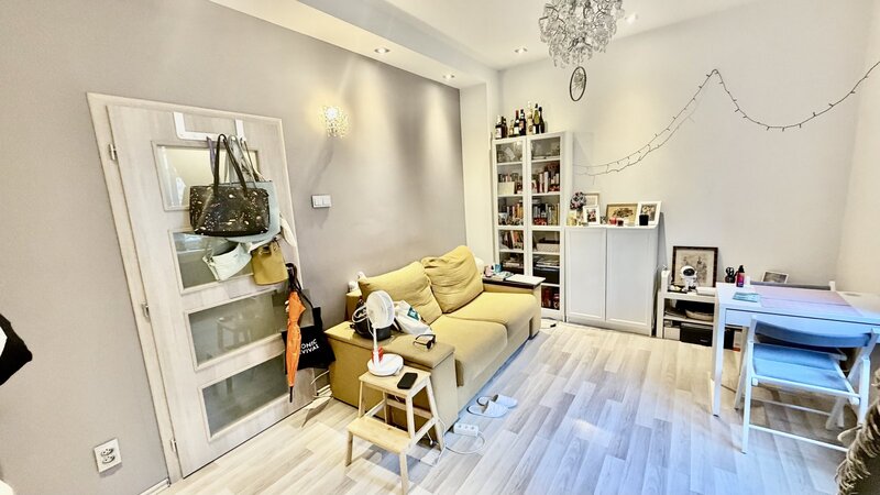 1+KK/23m2/Kouřimská/Praha 3/Vinohrady/zařízen/