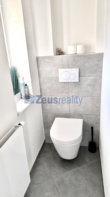 3+KK/58m2/Nové Město/Na slupi/Praha 2/částečně zařízen/po rekonstrukci