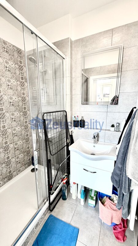 3+KK/58m2/Nové Město/Na slupi/Praha 2/částečně zařízen/po rekonstrukci