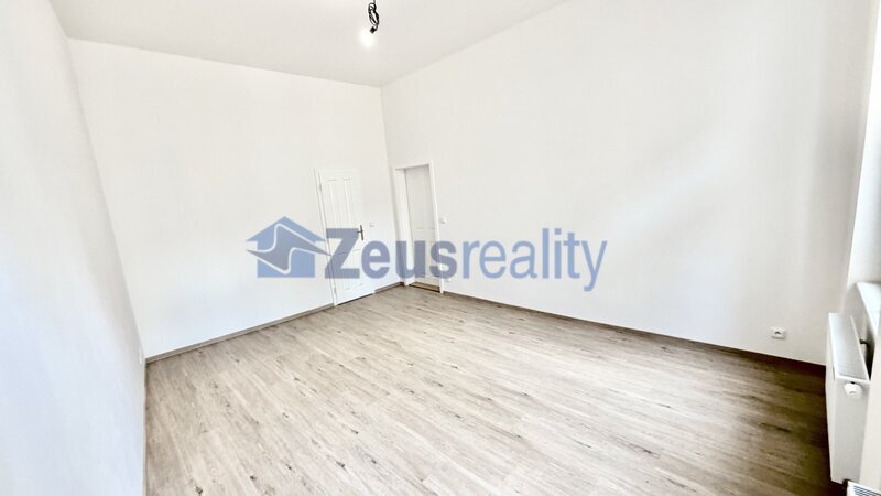 3+1/komora/119m2/Praha 1/Nové Město/Pštrossova/po rekonstrukci/částečně vybaven/