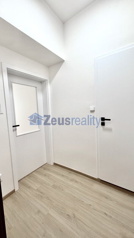 2+kk/42m2/balkon společný,zahrada/Praha 9 /Vysočany /Českomoravská/po rekonstrukci/částečně zařízen